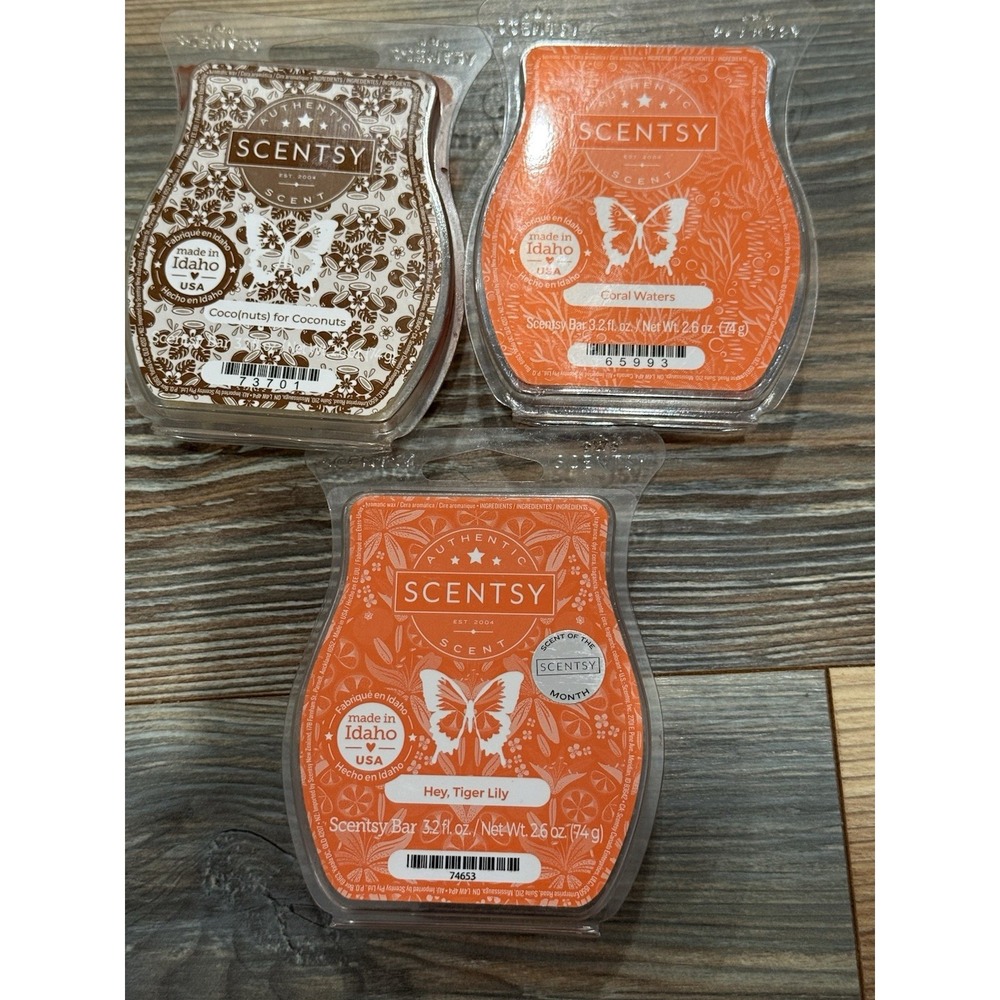 New Scentsy Wax Warmer Bundle-3